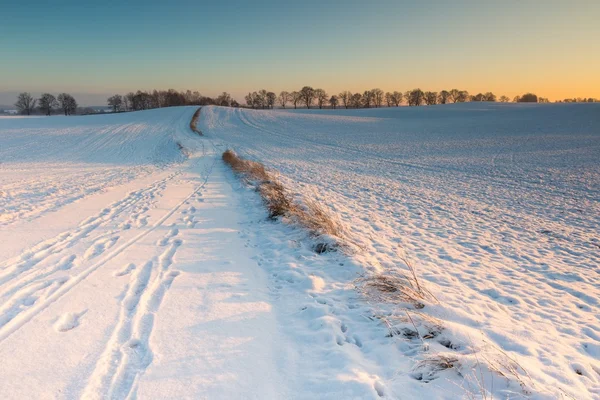 Zon op landbouwgebied. — Stockfoto