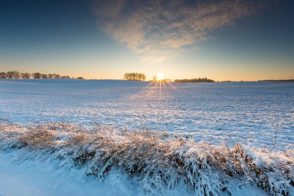 Słońce nad pole rolne. — Zdjęcie stockowe