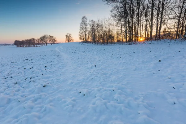 Nascer do sol sobre o campo agrícola . — Fotografia de Stock