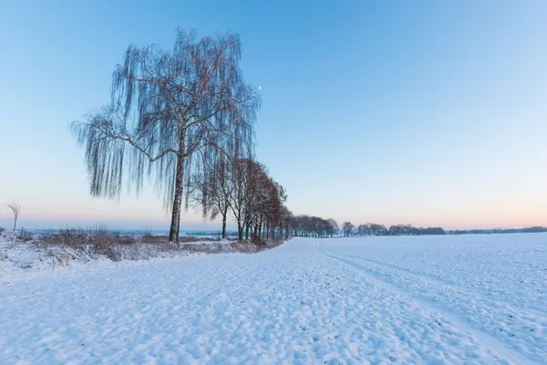 Piękny zimowy krajobraz pola. — Zdjęcie stockowe