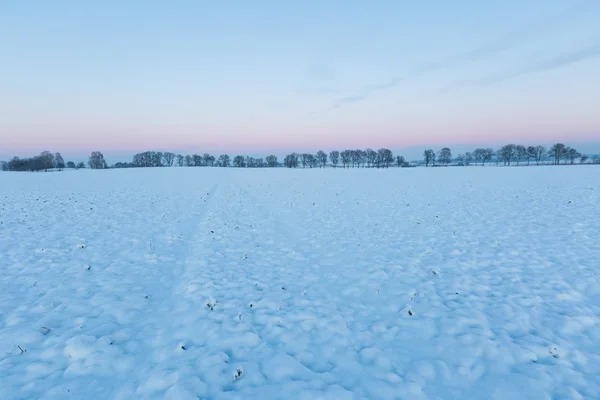 Piękny zimowy krajobraz pola. — Zdjęcie stockowe