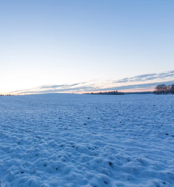 Bonita paisagem campo de inverno . — Fotografia de Stock