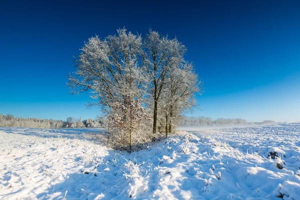 Zonsopgang boven landbouwgebied. — Stockfoto