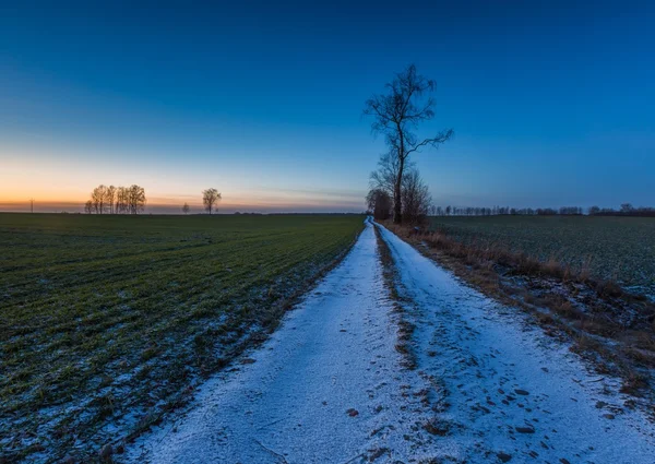 Mooie winterlandschap veld. — Stockfoto