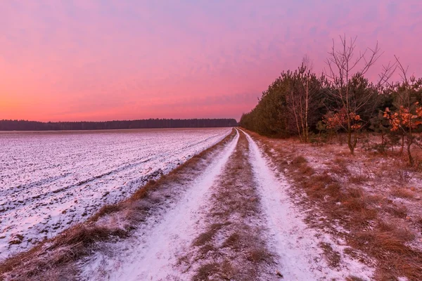 Hermoso paisaje de campo de invierno . — Foto de Stock