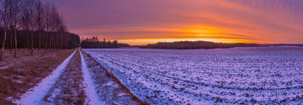 Hermoso paisaje de campo de invierno . — Foto de Stock