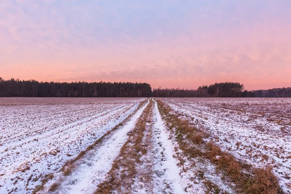 Bellissimo paesaggio campo invernale . — Foto Stock