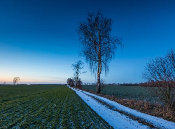 Piękny zimowy krajobraz pola. — Zdjęcie stockowe