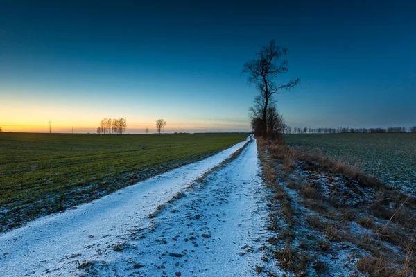 Piękny zimowy krajobraz pola. — Zdjęcie stockowe