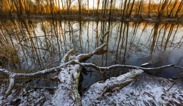 Bosque de invierno con río salvaje —  Fotos de Stock