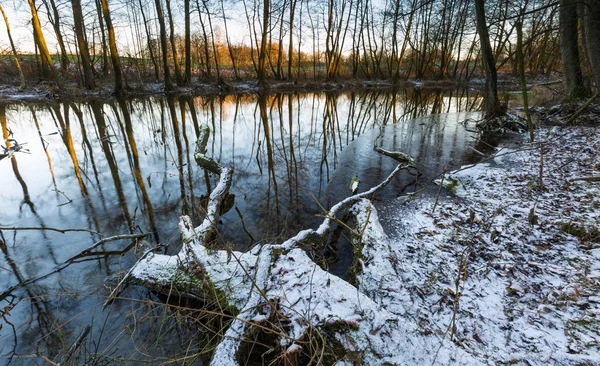 Bosque de invierno con río salvaje — Foto de Stock