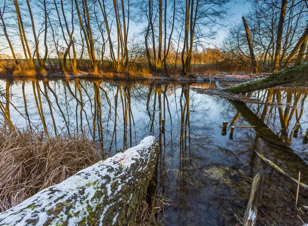 Fiume invernale nella foresta — Foto Stock