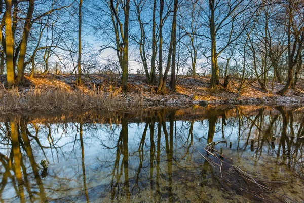 Río de invierno en el bosque —  Fotos de Stock