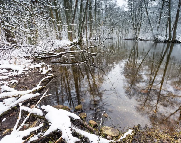 Rio de Inverno na floresta — Fotografia de Stock