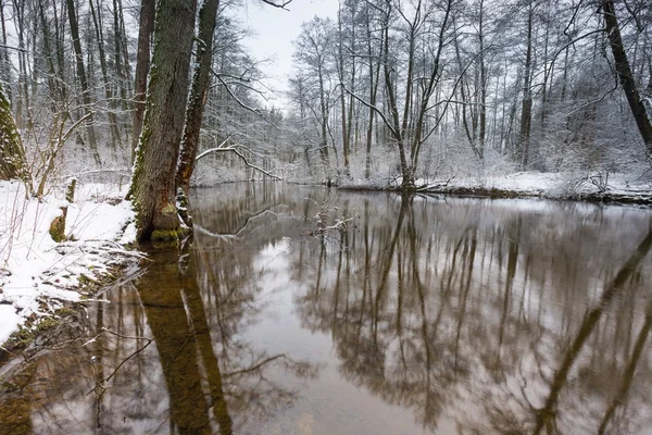 Rio de Inverno na floresta — Fotografia de Stock