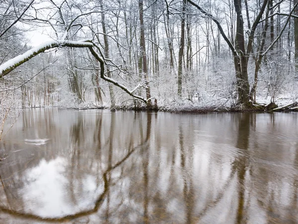 Río de invierno en el bosque —  Fotos de Stock