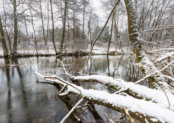 Río de invierno en el bosque —  Fotos de Stock