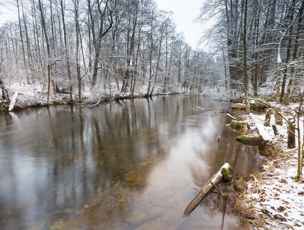 Río de invierno en el bosque — Foto de Stock