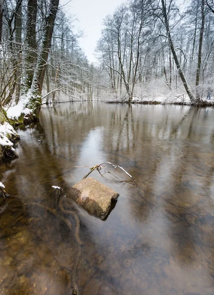 Río de invierno en el bosque —  Fotos de Stock