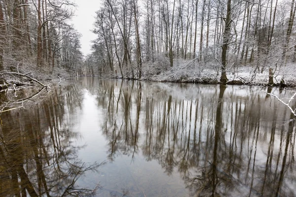 Rio de Inverno na floresta — Fotografia de Stock