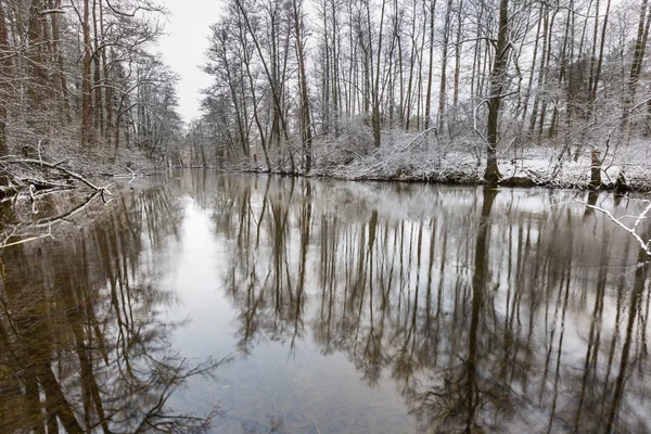 Fiume invernale nella foresta Foto Stock Royalty Free