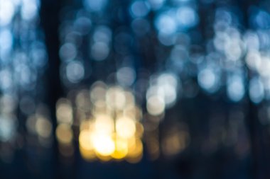 ormandaki güzel ışıklar