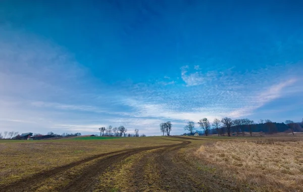 Prado no início da primavera ao pôr do sol — Fotografia de Stock