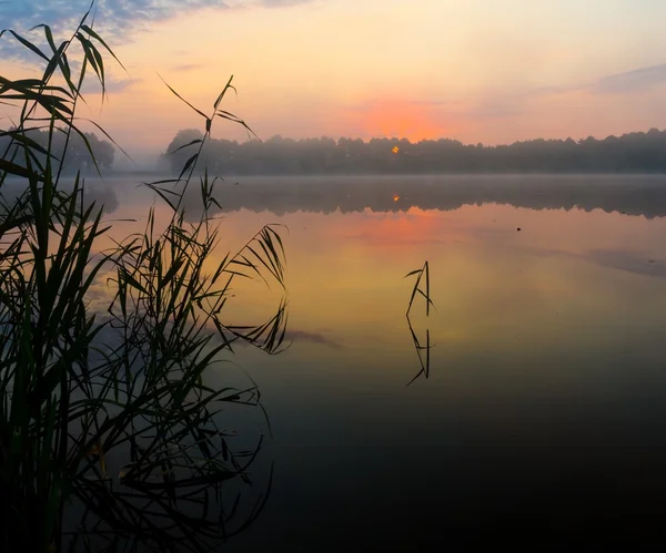 L'alba mistica sul lago — Foto Stock