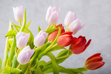 güzel bahar laleler