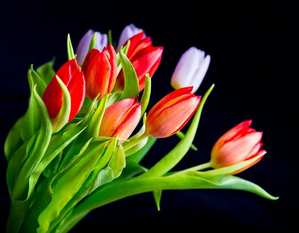 Bonito buquê de tulipas — Fotografia de Stock