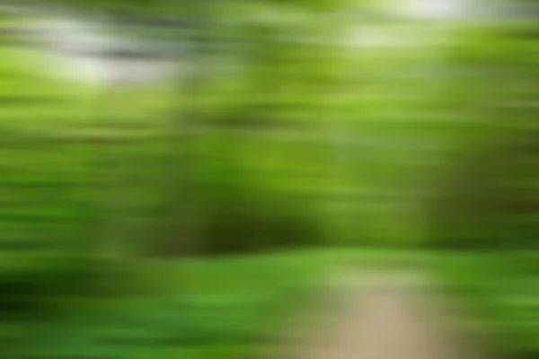 Carretera desenfocada en bosque — Foto de Stock