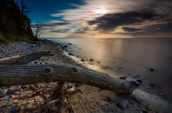 Скалистый морской берег с дрейфующей древесиной на рассвете. Красивый морской пейзаж — стоковое фото