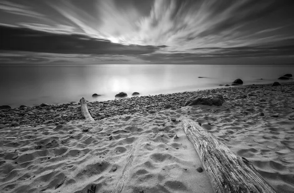 Rocky havsstranden med drivved vid soluppgången. Vackra marinmålning — Stockfoto