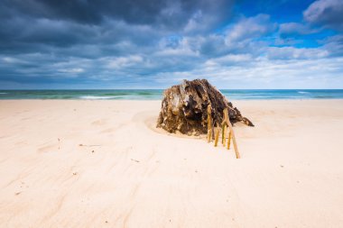 Manzara plaj. Baltık kıyıları.