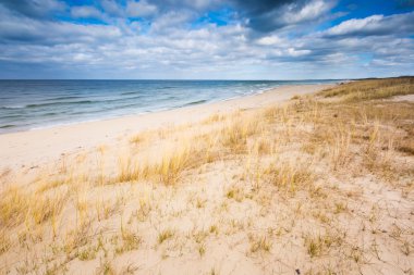 Çim ile deniz kıyısında. Güzel manzara