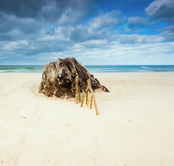 Stranden landskap. Östersjökusten. — Stockfoto