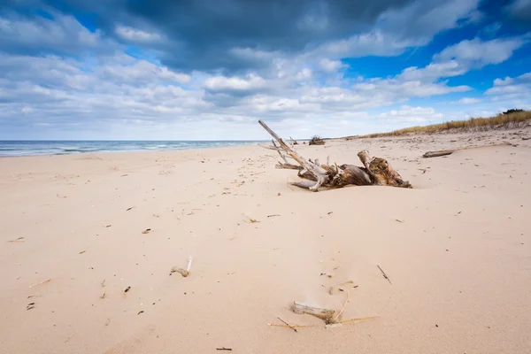Paisagem de praia. Costa do Báltico . — Fotografia de Stock
