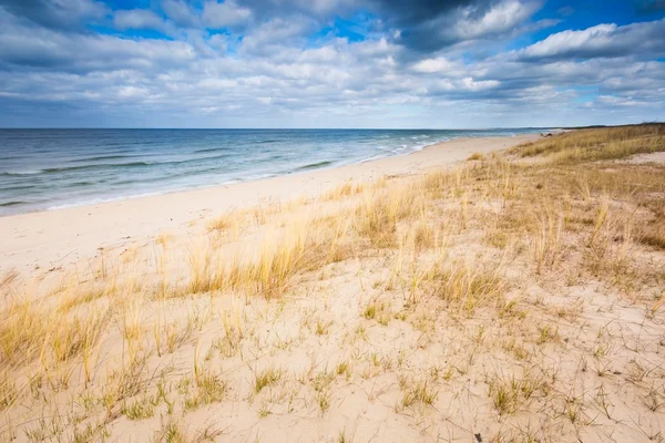 Meeresküste mit Gras. schöne Landschaft — Stockfoto