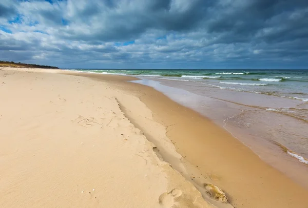 Stranden landskap. Östersjökusten. — Stockfoto