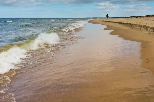 Pejzaż plaża. Wybrzeże Bałtyckie. — Zdjęcie stockowe