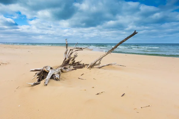 Paisagem de praia. Costa do Báltico . — Fotografia de Stock