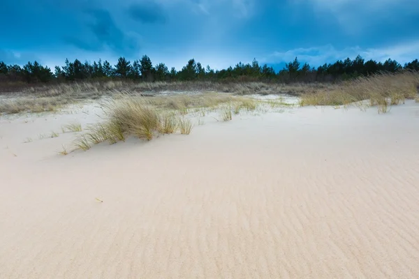 Kust met gras. Prachtige landschap — Stockfoto