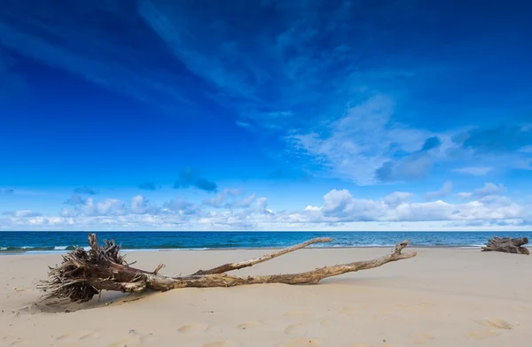 Paisagem de praia. Costa do Báltico . — Fotografia de Stock