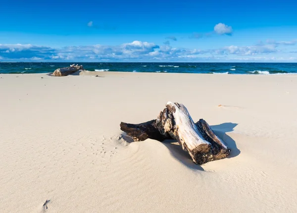 Güzel kumlu deniz kıyısında dalgaların karaya attığı odun ile — Stok fotoğraf