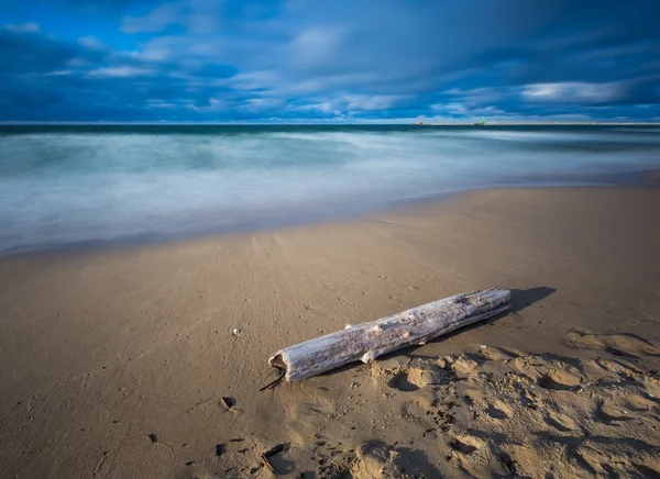 Beautiful sandy sea shore with driftwood — Stock Photo, Image