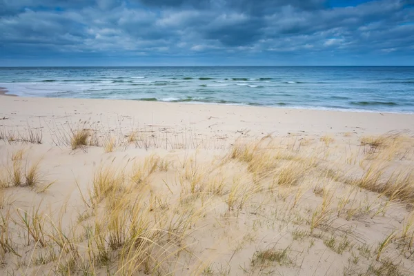 Vacker utsikt över sandstranden Östersjökusten fotograferad på mitt på dagen — Stockfoto