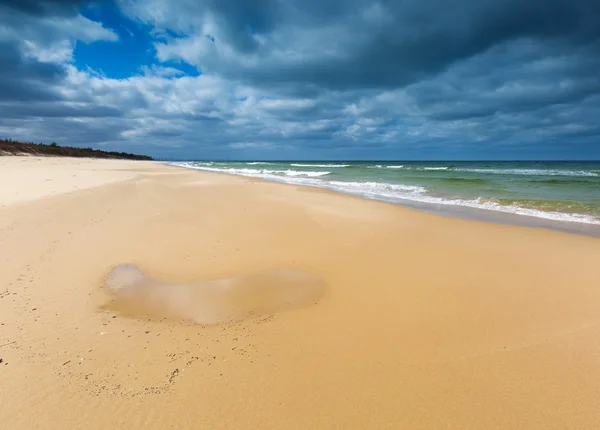 Bela vista na costa arenosa do Báltico fotografada no meio do dia — Fotografia de Stock