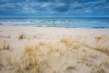 Baltık kumlu Sahili