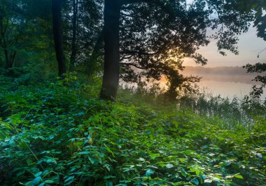 Sisli göl üzerinde güzel gündoğumu.