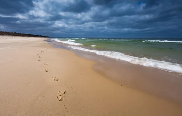 Orilla del mar Báltico . — Foto de Stock